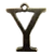 Y