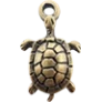 tortue